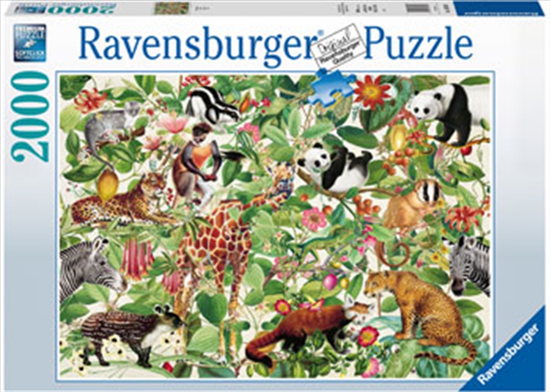 Jungle Puzzle 2000 Piece Puzzle/Product Detail/Nature and Animals