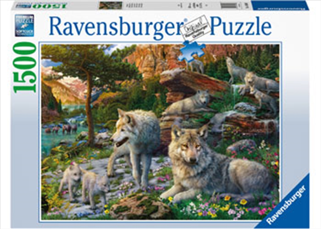 Wolves In Spring 1500 Piece Puzzle/Product Detail/Nature and Animals
