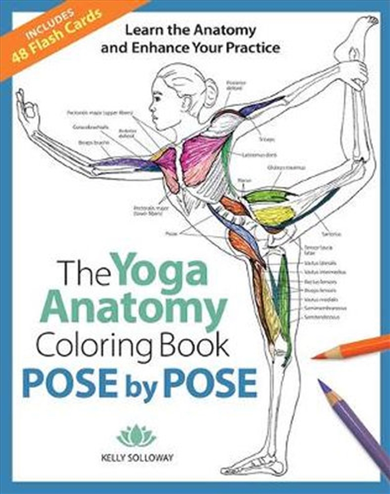 Pose By Pose: Learn The Anatomy And Enhance Your Practice (Volume 2) (The Yoga Anatomy Coloring Book/Product Detail/Fitness, Diet & Weightloss