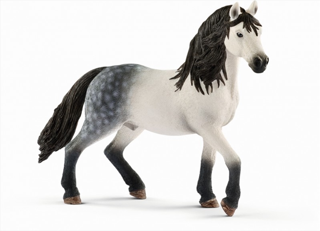 Schleich Figure - Andalusian Stallion/Product Detail/Play Sets