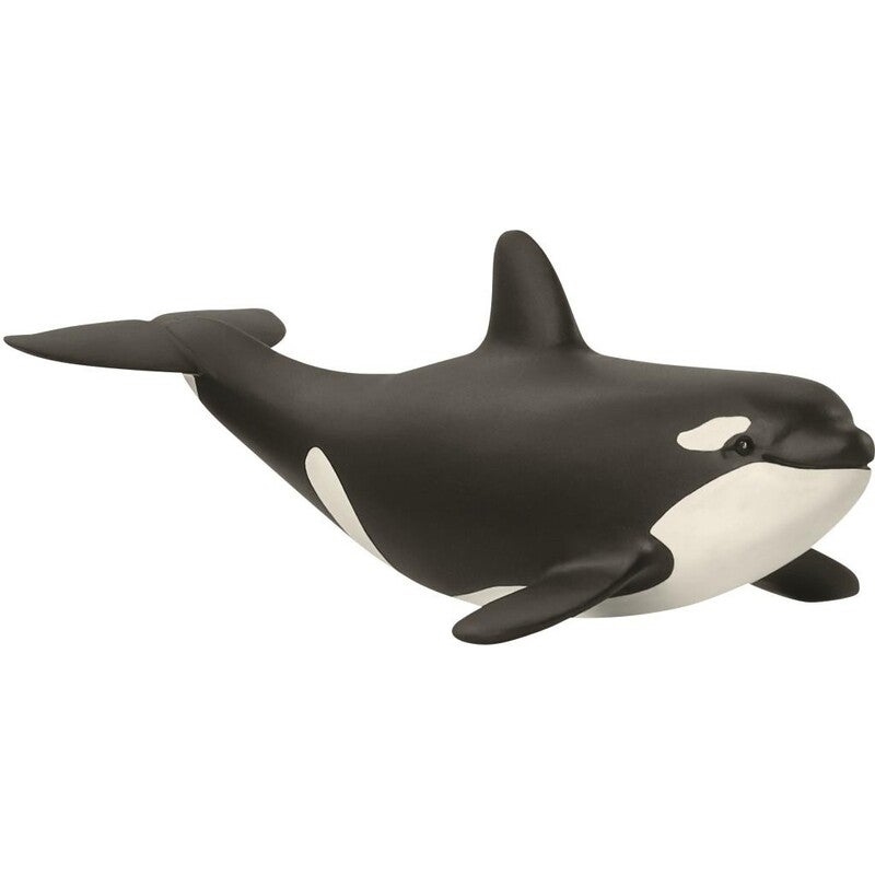 Schleich Figure - Baby Orca/Product Detail/Play Sets