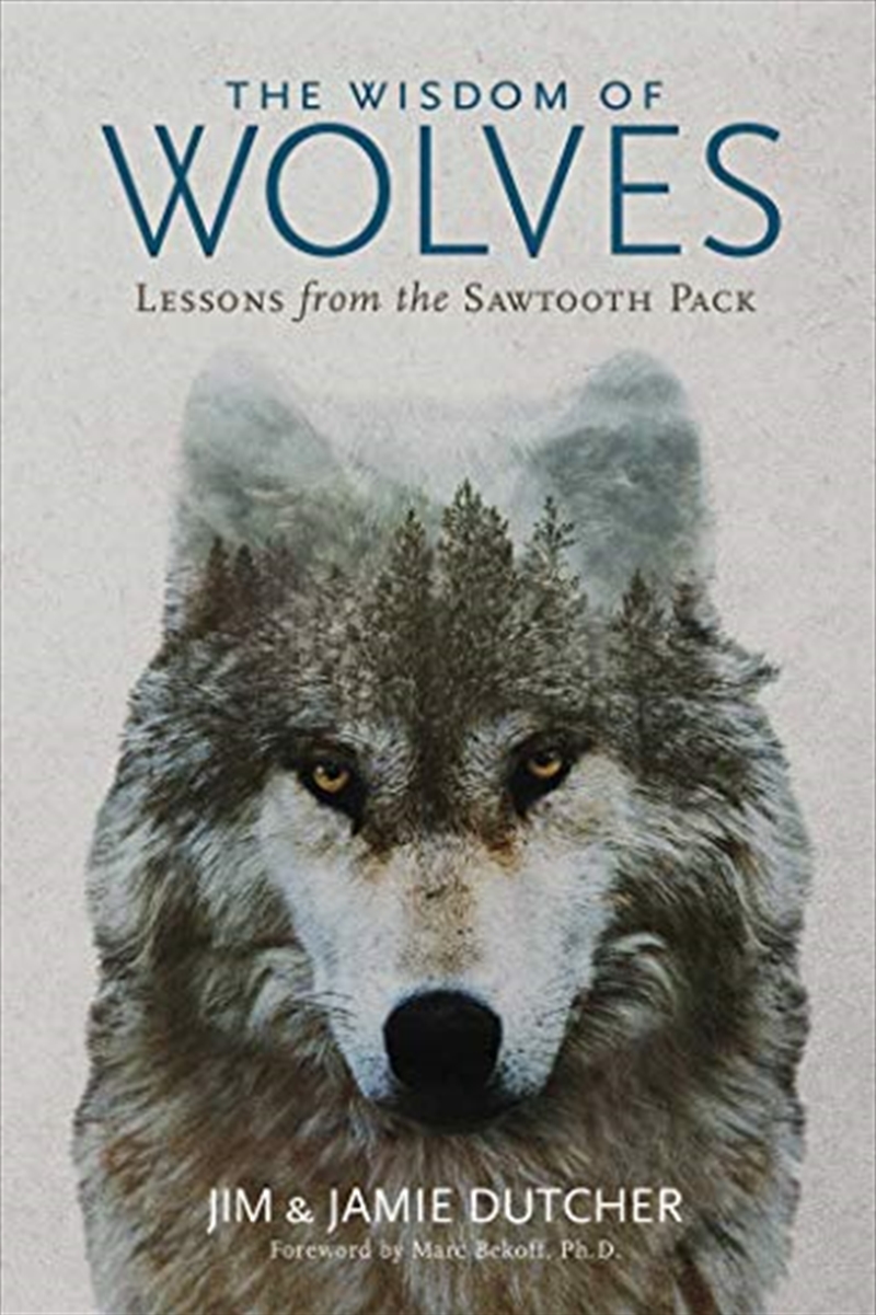 The Wisdom of Wolves: Lessons From the Sawtooth Pack/Product Detail/Reading