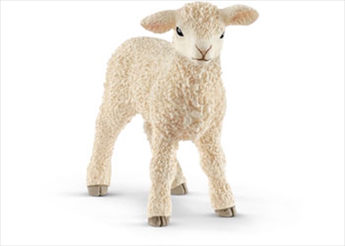 Schleich-Lamb/Product Detail/Play Sets