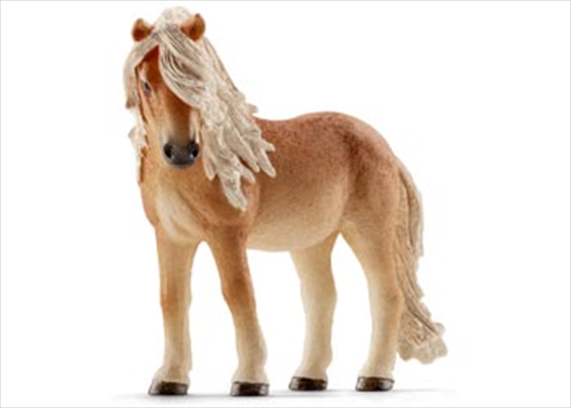 Schleich - Icelandic Pony Mare/Product Detail/Play Sets