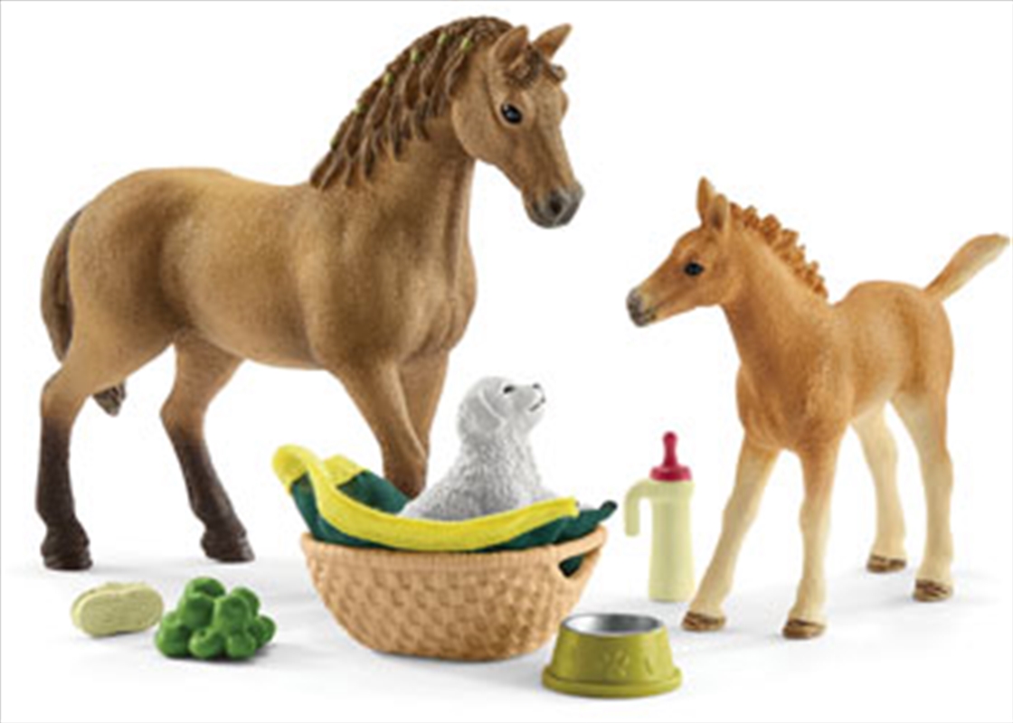 Schleich - Sarah's Baby Animal Care/Product Detail/Play Sets