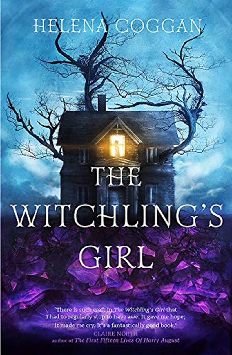 TheWitchling'sGirl/Product Detail/Childrens Fiction Books