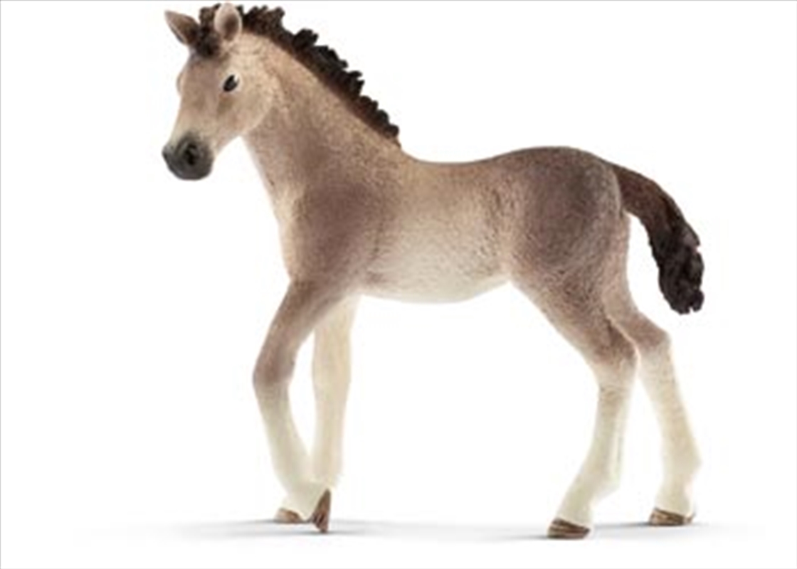 Schleich - Andalusian Foal/Product Detail/Play Sets