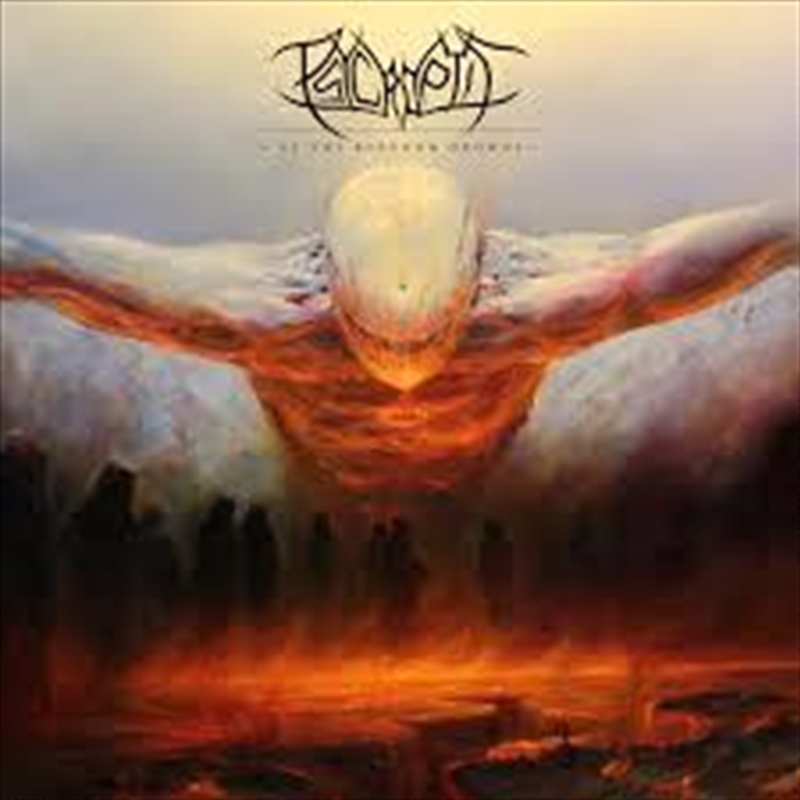 As The Kingdom Drowns - Australian Exclusive Edition/Product Detail/Metal