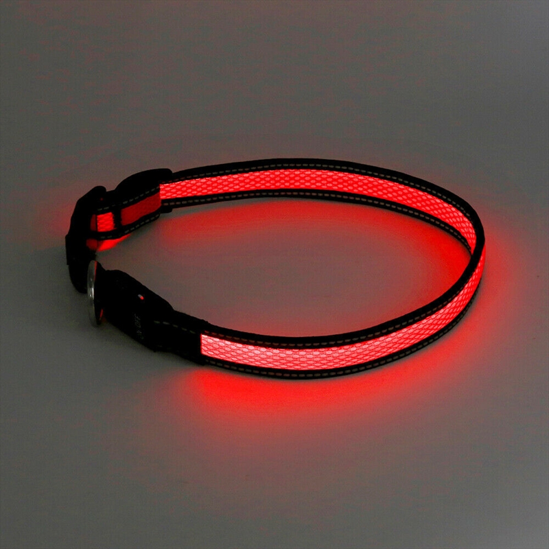 Laser - Mighty Pet Rechargeable LED Reflective Collar Medium Size - Red/Product Detail/Pet Accessories