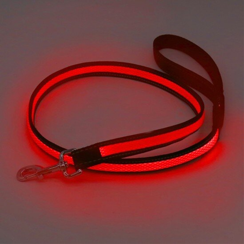 Laser - Mighty Pet Rechargeable LED Reflective Lead - Red/Product Detail/Pet Accessories