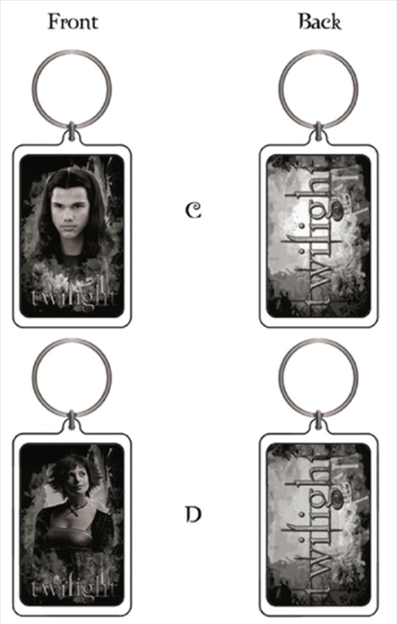 Jacob Alice Lucite Keychain/Product Detail/Keyrings