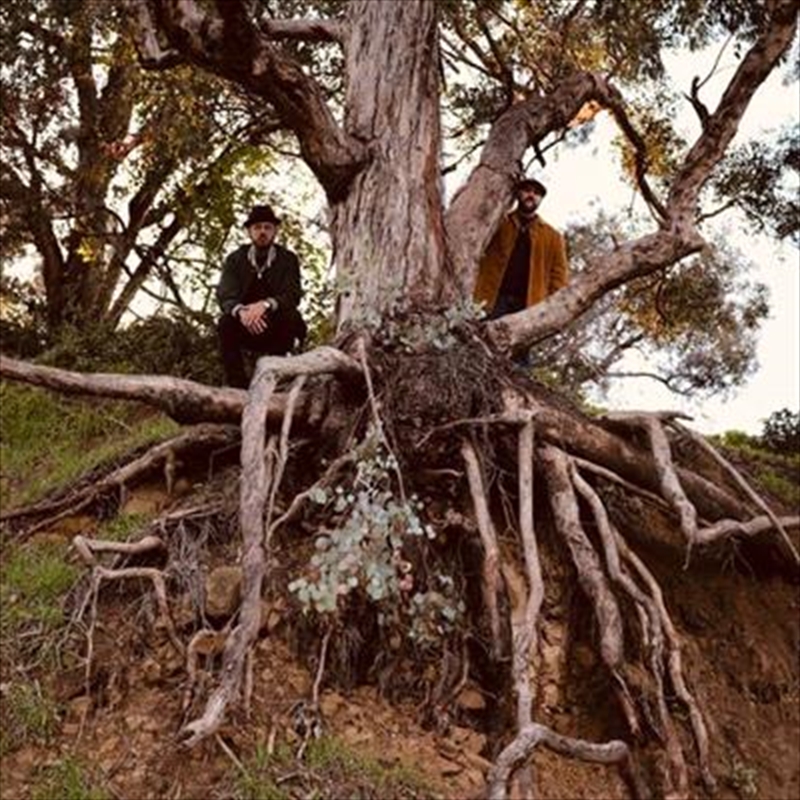 Miles/Product Detail/Hip-Hop