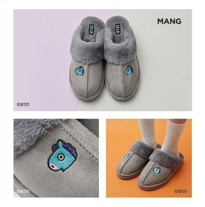 Winter Slipper - Mang Size 9/Product Detail/KPOP Merch