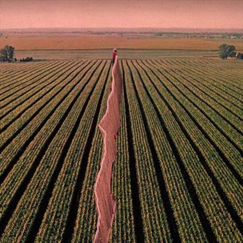 Everybody Split/Product Detail/Alternative