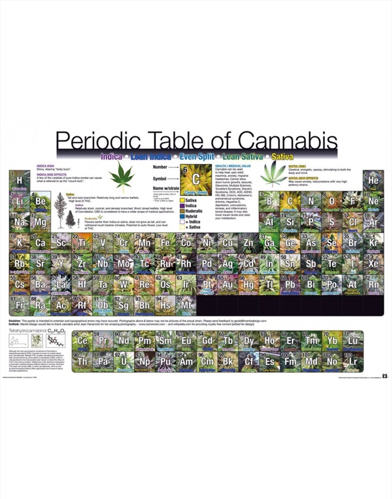 Periodic Table Of Cannabis Poster/Product Detail/Posters & Prints
