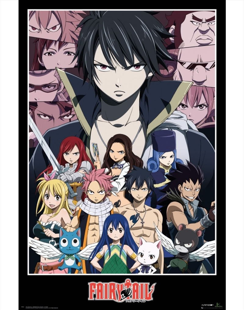 Fairy Tail Group Poster/Product Detail/Posters & Prints
