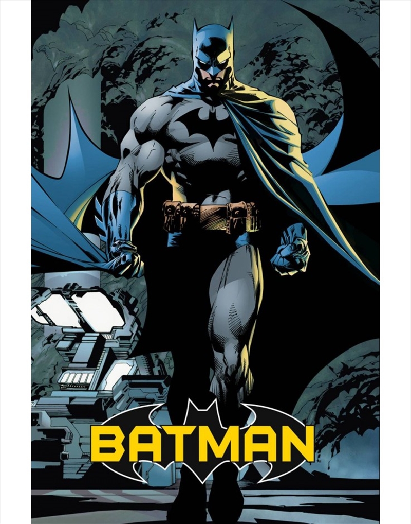 DC Comics Batman Comic Poster/Product Detail/Posters & Prints