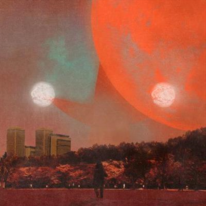 I Castorpollux/Product Detail/Pop