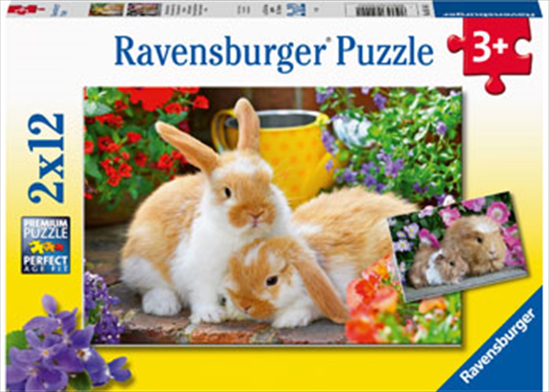 Guinea Pigs And Bunnies Puzzle  2 X 12 Piece | Merchandise