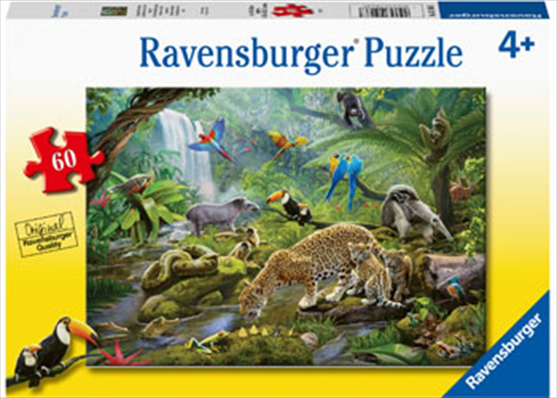 Rainforest Animals 60pc Puzzle | Merchandise