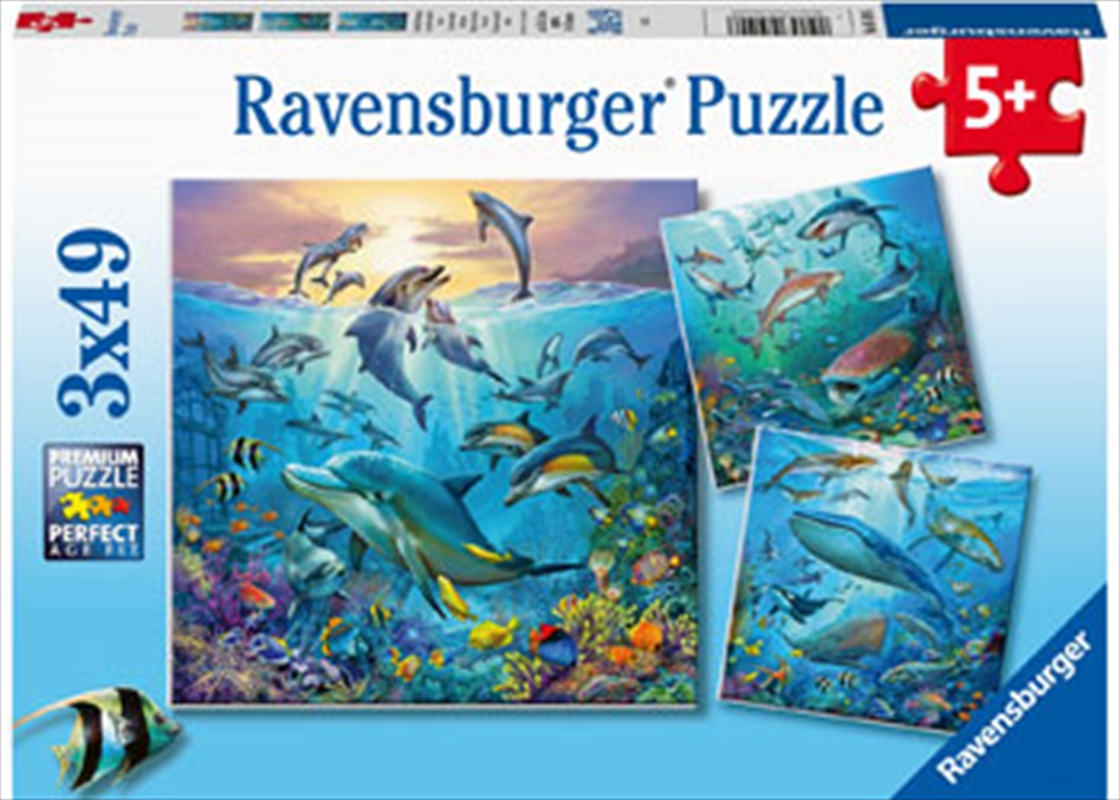 Ocean Life 3 X 49 Piece Puzzle | Merchandise