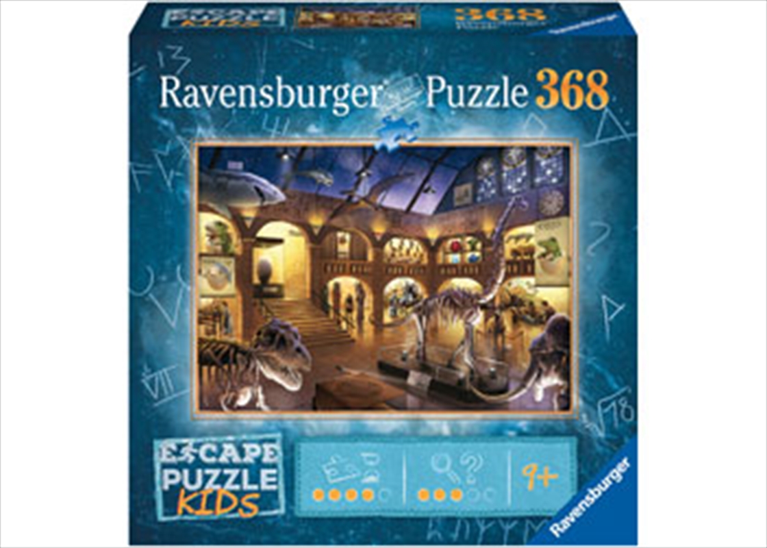 Museum Mysteries 368 Piece Puzzle | Merchandise