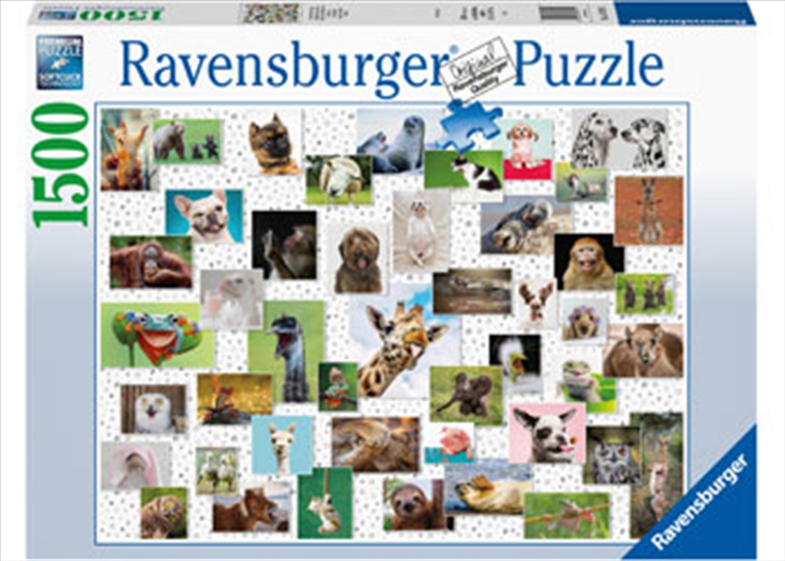 Buy Funny Animals Puzzle 1500 Piece Puzzle Sanity