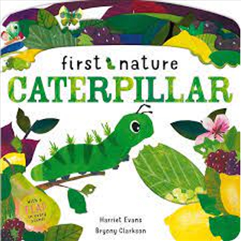 Caterpillar (Board Books)/Product Detail/Childrens