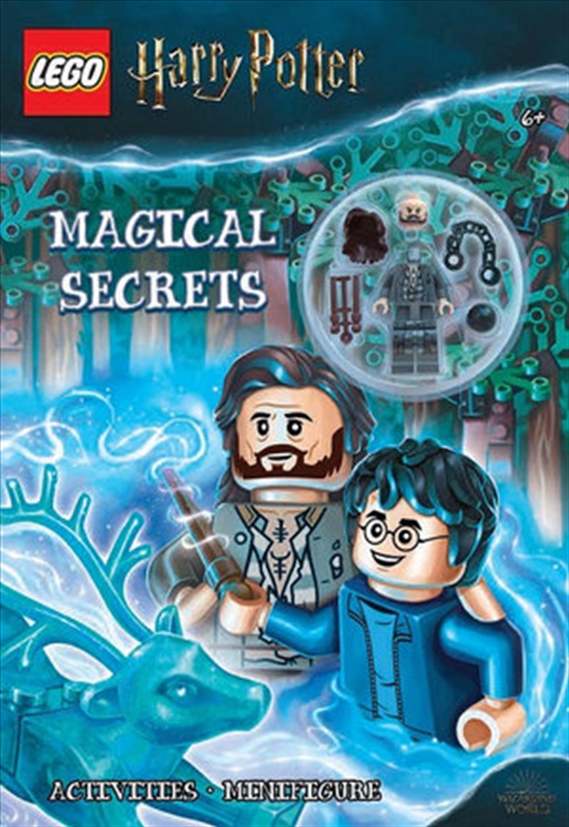 Lego Harry Potter: Magical Secrets/Product Detail/Childrens Fiction Books
