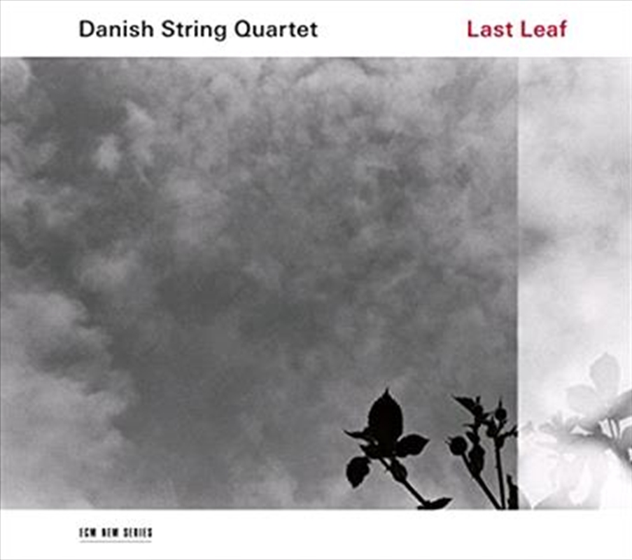 Last Leaf/Product Detail/Classical