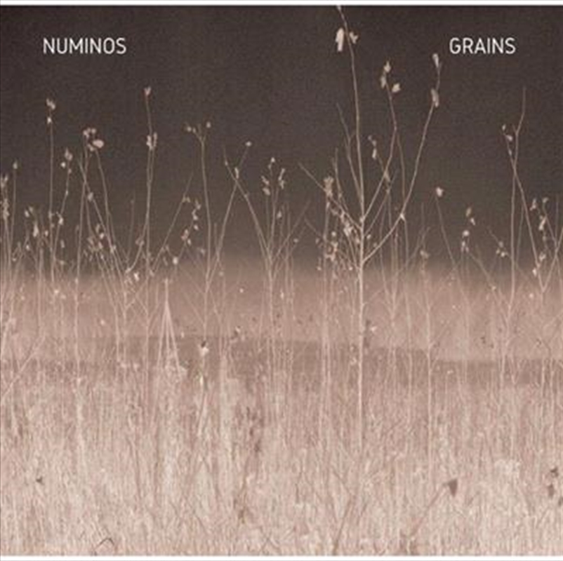 Grains/Product Detail/Pop