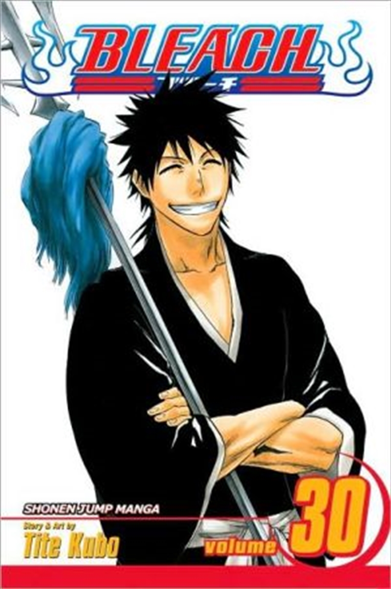 Bleach, Vol. 30/Product Detail/Manga