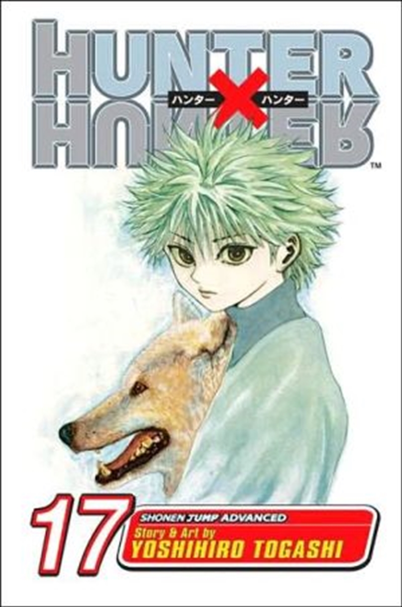 Hunter x Hunter, Vol. 17/Product Detail/Manga