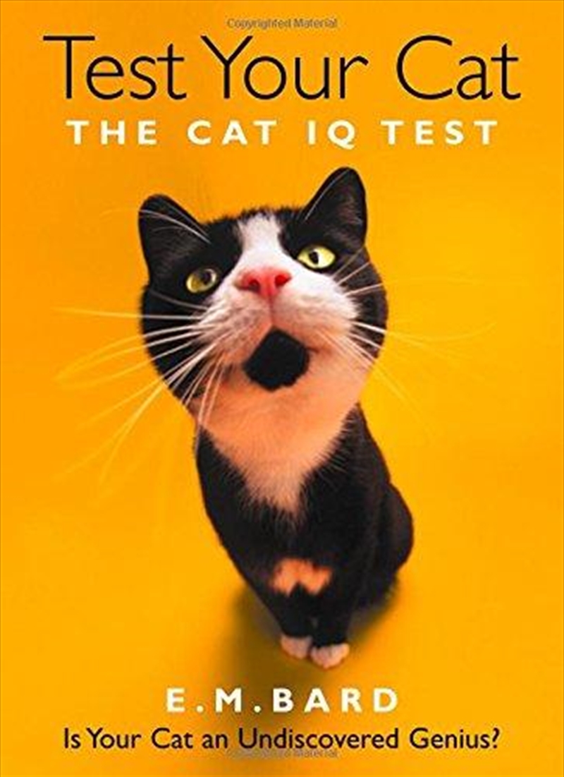 Test Your Cat : The Cat Iq Test/Product Detail/Animals & Nature