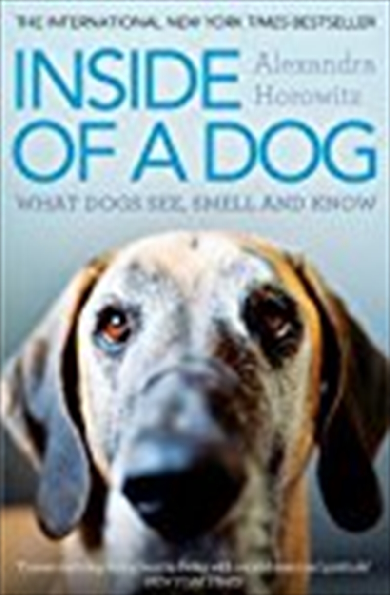 Inside of a Dog/Product Detail/Animals & Nature