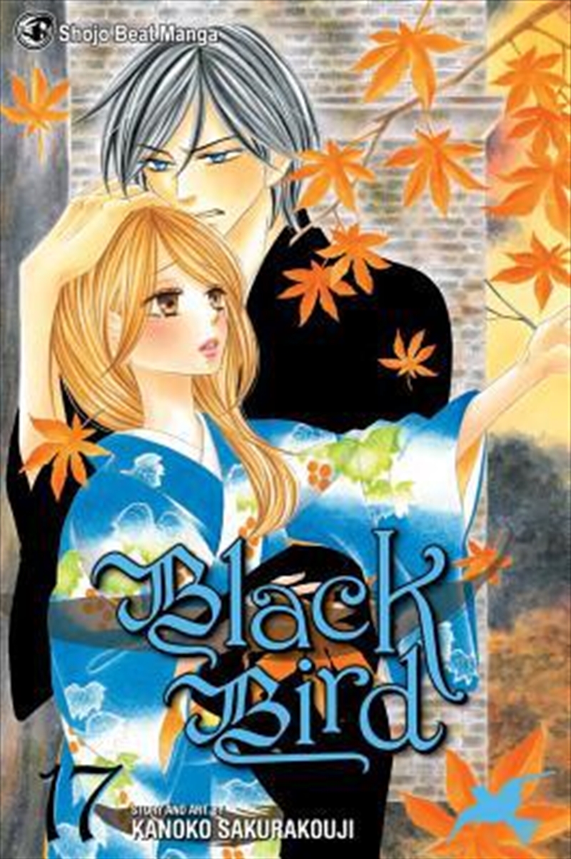Black Bird, Vol. 17/Product Detail/Manga