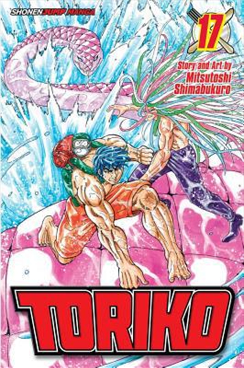 Toriko, Vol. 17 (17)/Product Detail/Manga