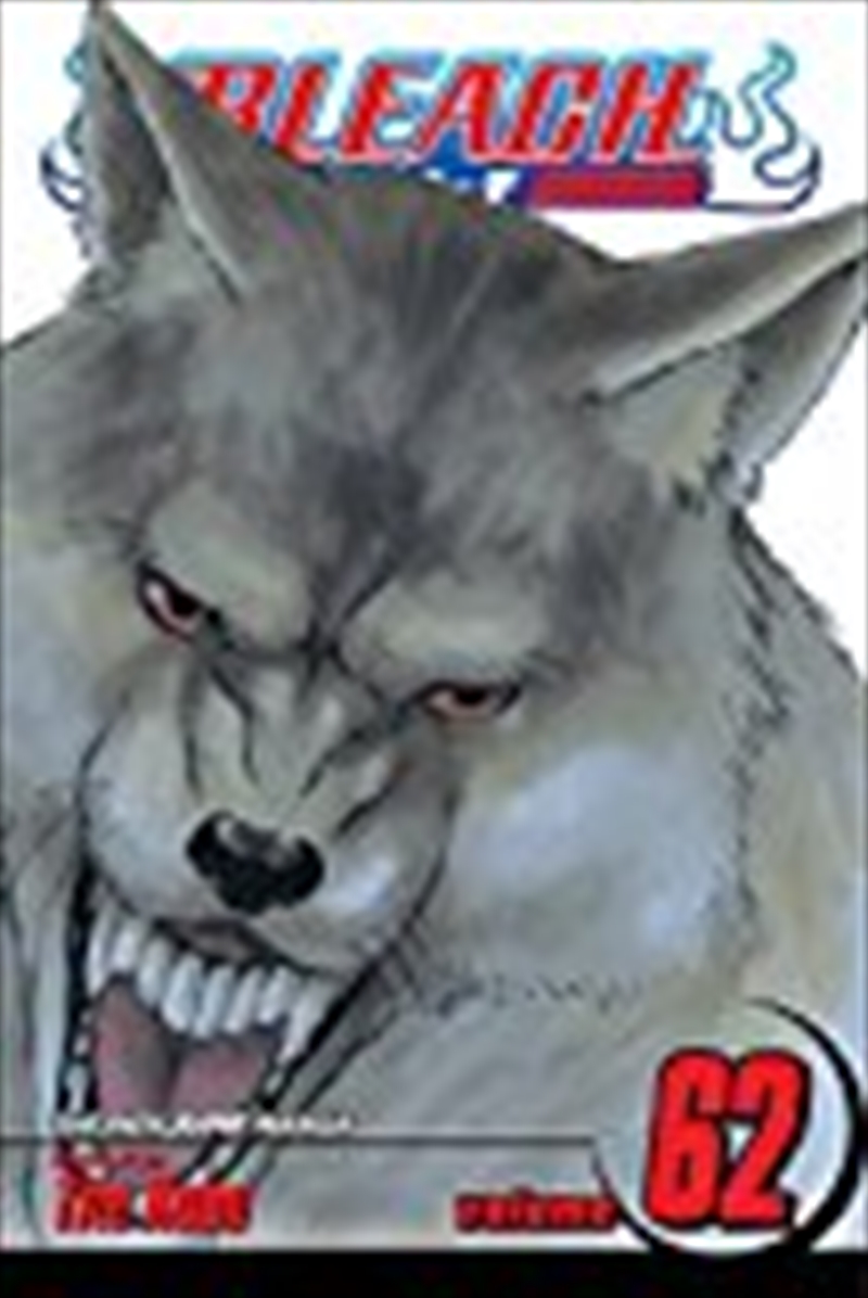 Bleach, Vol. 62/Product Detail/Manga