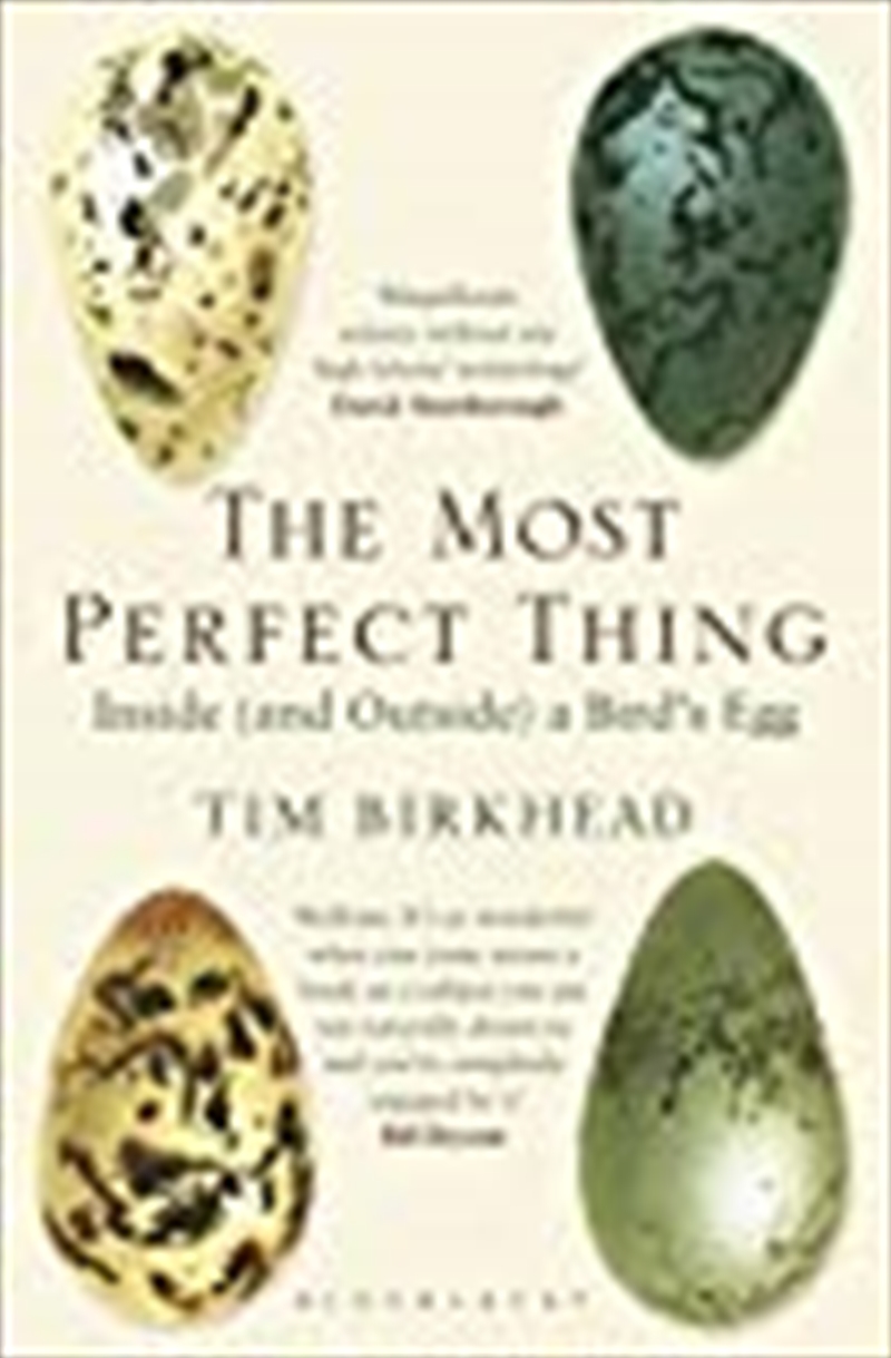 The Most Perfect Thing: Inside (And Outside) A Bird'S Egg/Product Detail/Animals & Nature