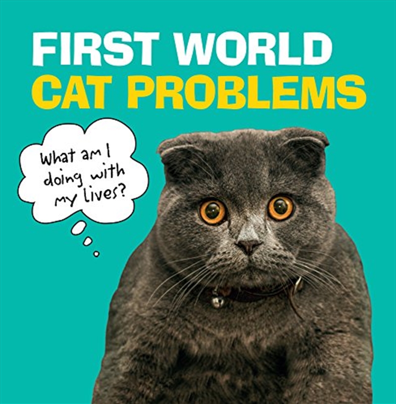 First World Cat Problems: What Am I Doing with My Lives?/Product Detail/Animals & Nature