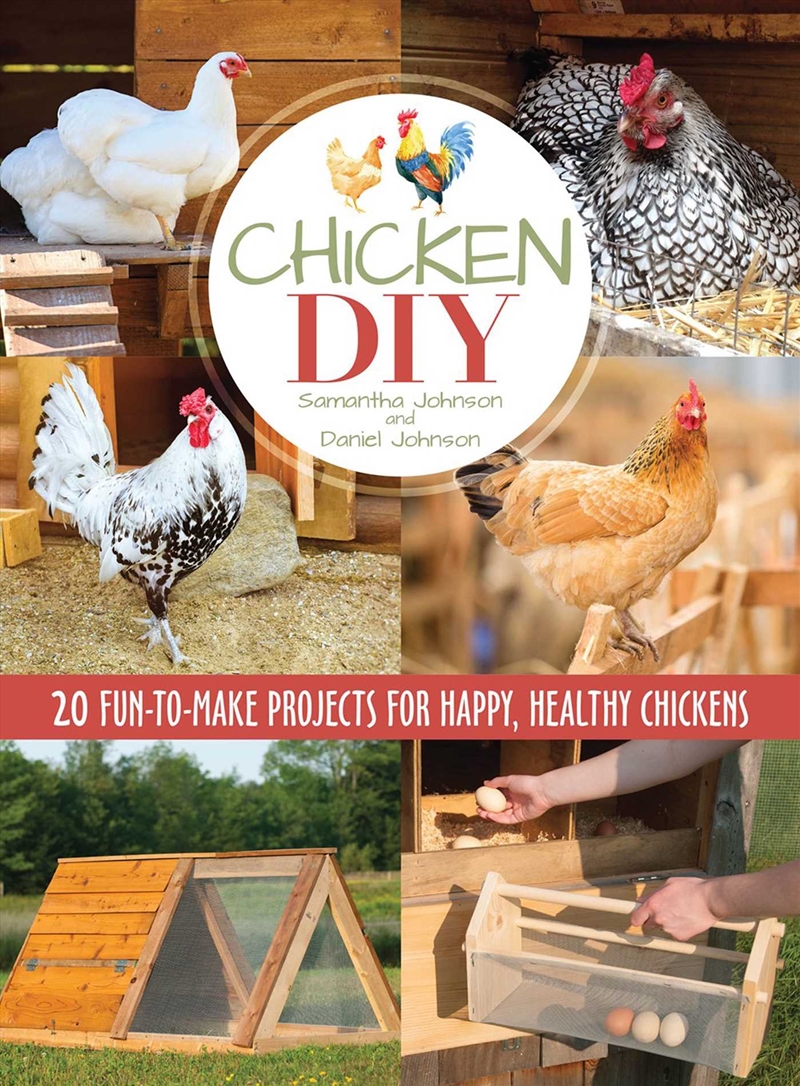 Chicken DIY/Product Detail/Animals & Nature