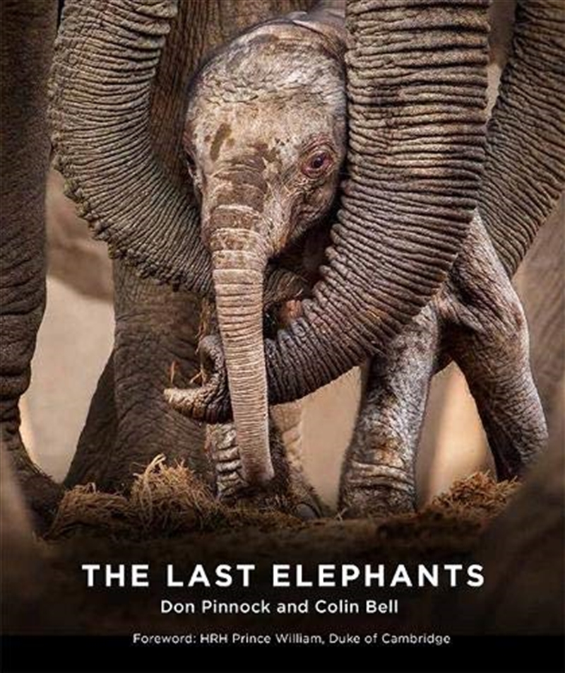 The Last Elephants/Product Detail/Animals & Nature