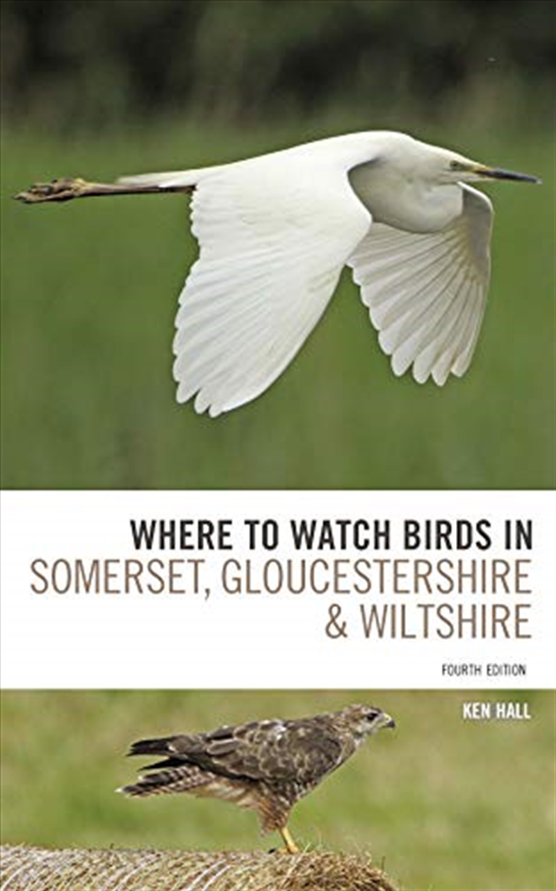 Where To Watch Birds In Somerset, Gloucestershire And Wiltshire/Product Detail/Animals & Nature