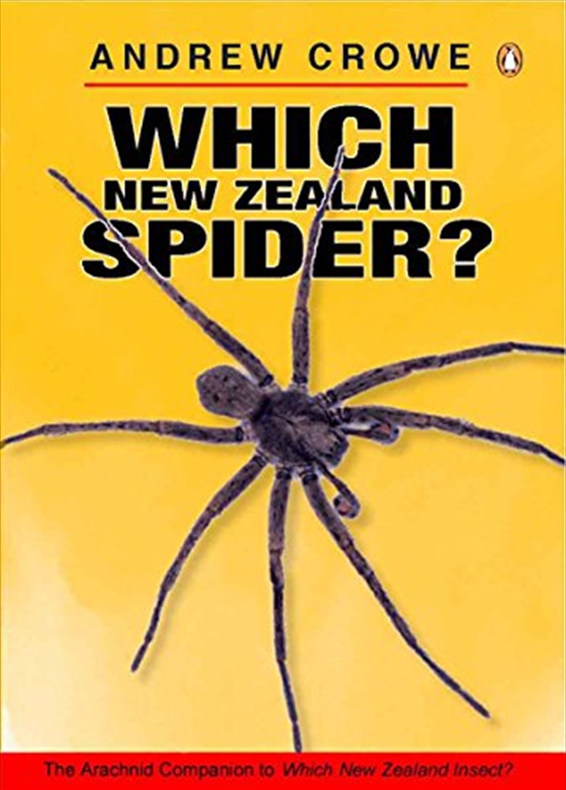 Which New Zealand Spider?/Product Detail/Animals & Nature
