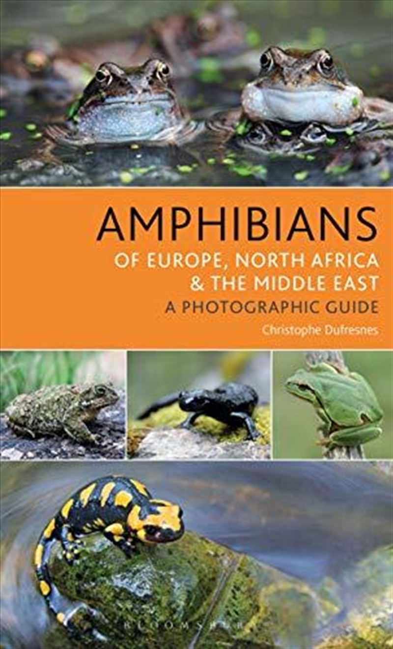 Amphibians Of Europe, North Africa And The Middle East: A Photographic Guide/Product Detail/Animals & Nature