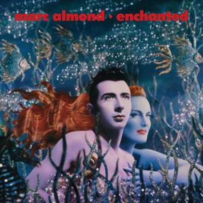 Enchanted/Product Detail/Rock