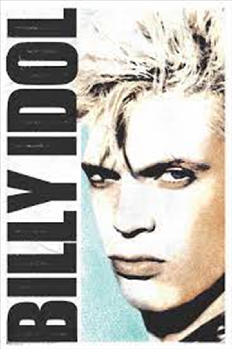 Billy Idol Face Poster | Merchandise