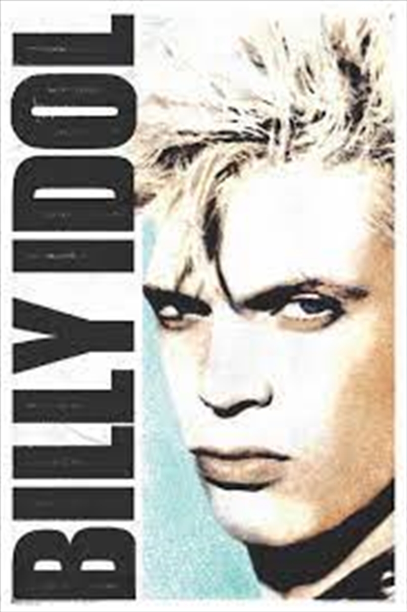 Billy Idol Face Poster/Product Detail/Posters &amp; Prints