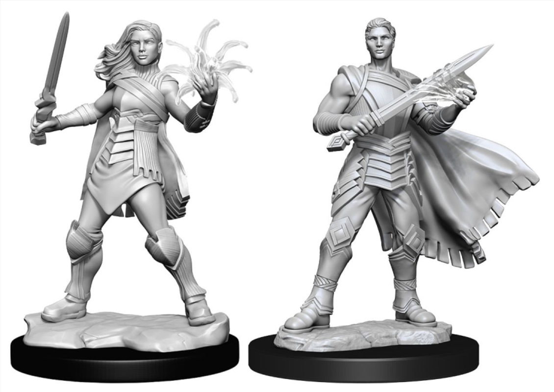 Magic the Gathering - Unpainted Miniatures: Rowan Kenrith & Will Kenrith/Product Detail/RPG Games