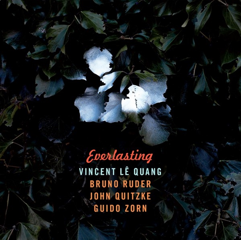 Everlasting/Product Detail/Pop